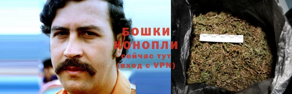 прущие грибы Абинск