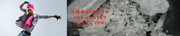 прущие грибы Абинск