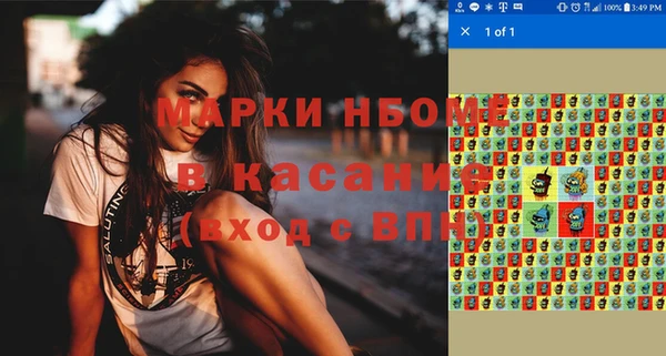прущие грибы Абинск